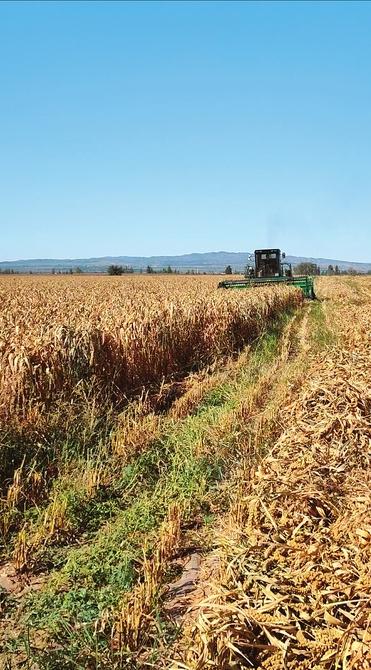 大同2.jpg 大同2.jpg